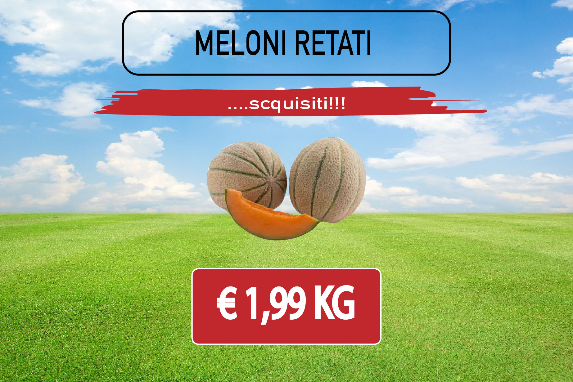 MELONI RETATI