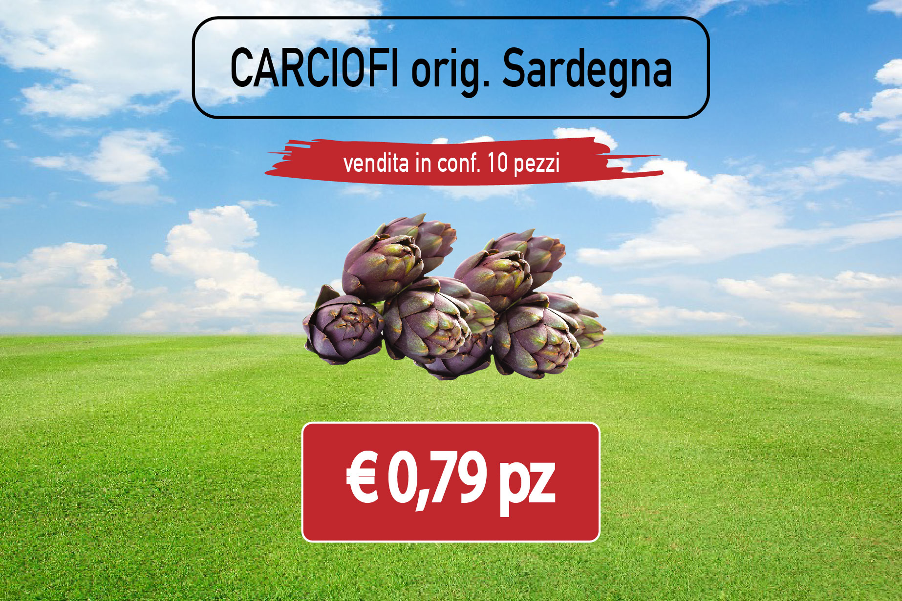 CARCIOFI dalla Sardegna