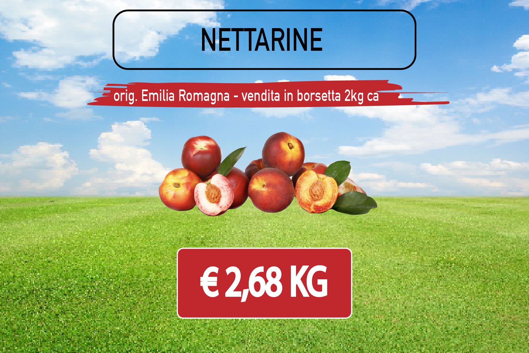 NETTARINE vendita in borsetta
